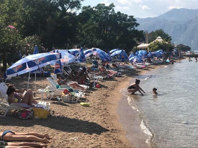 Villa Nikola Kotor Dış mekan fotoğraf