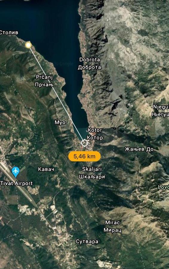 Villa Nikola Kotor Dış mekan fotoğraf